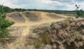 Randonnée Marche Maaseik - Gruitroderbos -  dunes - Photo 8