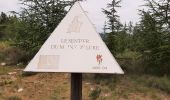 Trail Walking Les Omergues - Saint André de villeseche. la pyramide du moine  - Photo 8