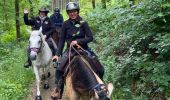 Trail Horseback riding Fauvillers - Bavigne Tripoux 2022 - Photo 12