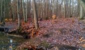 Tocht Stappen Plaisir - Forêt de Ste Appoline - Photo 6