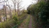 Trail Walking Nazelles-Négron - Nazelles-Négron - Zig zag autour de Nazelles et de Pocé-sur-Cisse - 18.1km 340m 4h05 - 2024 03 24 - Photo 2