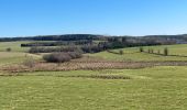 Tour Reiten Léglise - Légalise via Rancimont - Photo 5