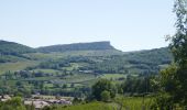 Tour Elektrofahrrad Cluny - Boucle Cluny -Milly Lamartine - Photo 2