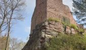 Tour Wandern Wangenburg-Engenthal - Le donjon du Wangenbourg - Photo 8