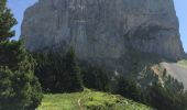 Tocht Stappen Chichilianne - Autour du mont Aiguille - Photo 9