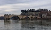 Tocht Stappen Avignon - ile de la Barthelasse - Photo 7