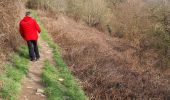 Trail Walking Olne - 20210208 - Olne 9 Km - Photo 9