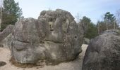 Trail Walking Noisy-sur-École - noisy sur École  - Photo 2