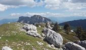 Tocht Stappen Entremont-le-Vieux - Sommet Pinet à partir de la Balme - Photo 7