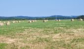 Tour Wandern Yvoir - Yvoir, boucle sur les roches, réserve de Champalle - Photo 8