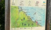 Trail Trail Anse-Bertrand - La mahaudiere - Photo 10