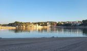 Trail Walking Bandol - Bandol - St Cyr par le sentier du littoral - Photo 15