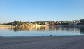 Excursión Senderismo Bandol - Bandol - St Cyr par le sentier du littoral - Photo 15