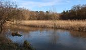 Randonnée A pied Breckland - Little Ouse Path - Photo 7