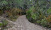 Tocht Stappen Montarnaud - tour montarnaud et argelliers - Photo 20