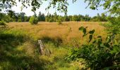 Tour Zu Fuß Idstedt - Wanderroute, rot - Photo 6