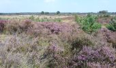 Tour Zu Fuß Kalmthout - Wandelpad Bos - Photo 3