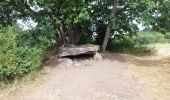 Tocht Stappen Verrières - DOLMEN ET CASCADE DE SAILLANT DEPUIS VERRIERES - Photo 4