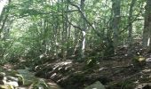 Tour Wandern Pont de Montvert - Sud Mont Lozère - Pont Lozère versant sud : beal de Felgerolles Pont du Tarn  - Photo 15