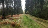 Trail Walking Theux - gervova . chemin du ninglinspo . chifgotte . charmille . gervova - Photo 3