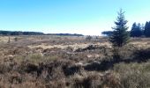 Randonnée Marche Manhay - plateau des tailles depuis Odeigne  - Photo 14