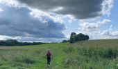 Tour Wandern Vuren - Fouron le comte - Photo 3