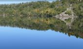 Tour Wandern Charbonnières-les-Vieilles - Tour du Gour de Tazenat - Photo 3