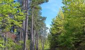 Tour Wandern Aurel - Le Pas de la Frache - Photo 4