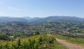 Tocht Stappen Ispoure - Pic D'Arradoi  au départ d' Isbourre - Photo 3