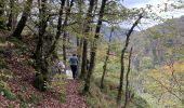 Trail Walking Bouillon - Poupehan - Frahan - Photo 1