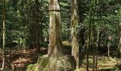 Tour Mountainbike Gerdsee - Gérardmer le Haut du Tôt  - Photo 1