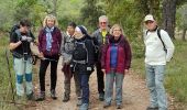 Tocht Stappen Cabasse - les dolmens 3 - Photo 13