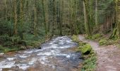 Trail On foot Unknown - Einmündung Littersbach - Bernickel - Photo 6