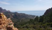 Trail Walking Saint-Raphaël - Le drapeau - Photo 11