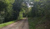 Tocht Mountainbike Chablis - Tacot de l'yonne le long du Serein - Photo 3