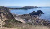 Trail Walking Camaret-sur-Mer - Camaret - Photo 3