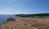 Randonnée Marche Martigues - La Couronne Sausset les Pins - Photo 11