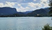Trail Walking Bled - bled - tour du lac - Photo 18