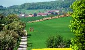 Tour Zu Fuß Merzig - Promenade Circulaire de Waldwisse - Photo 3