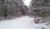 Tour Zu Fuß Oer-Erkenschwick - Mutter Wehner Rundweg A4 - Photo 8