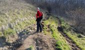 Excursión Senderismo Brison-Saint-Innocent - MONT DE CORSUET: BRISON ST INNOCENT - MEYRIEU - SOUS LA CHAMBOTTE - Photo 12