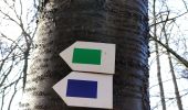 Trail Walking Dinant - La promenade de freyr. - Photo 10