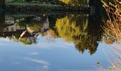 Tocht Stappen Aixe-sur-Vienne - Aix-en-Provence sur V. - Photo 10