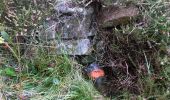 Randonnée Marche Astet - Col de la Chavade-Banne-Source de l'Ardèche - Photo 2