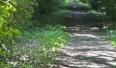 Randonnée Marche Huldenberg - #230710 - Neerijse, nature idyllique dans la réserve naturelle de Doode Bemde**** - Photo 4