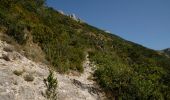 Trail Walking Marignac-en-Diois - Marignac - But de l'Aiglette - Col de Vassieux - Photo 8