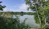 Trail Walking Burnhaupt-le-Bas - Burnhaupt  - Photo 1