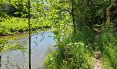 Tour Wandern Kiischpelt - Kautenbach - Sentier local KI 2 - Photo 7