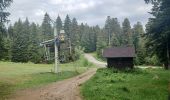 Tour Wandern Seyne - SEYNES LES ALPES Bas et haut Chardavon  , balade de la Rochette , ravin des Ganiayes , les Côtes n - Photo 8