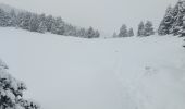 Randonnée Marche Saint-Agnan-en-Vercors - Parking de Beurre - Pré Peyret - Photo 1